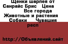 Щенки шарпея от Санрайс Брис › Цена ­ 30 000 - Все города Животные и растения » Собаки   . Чувашия респ.